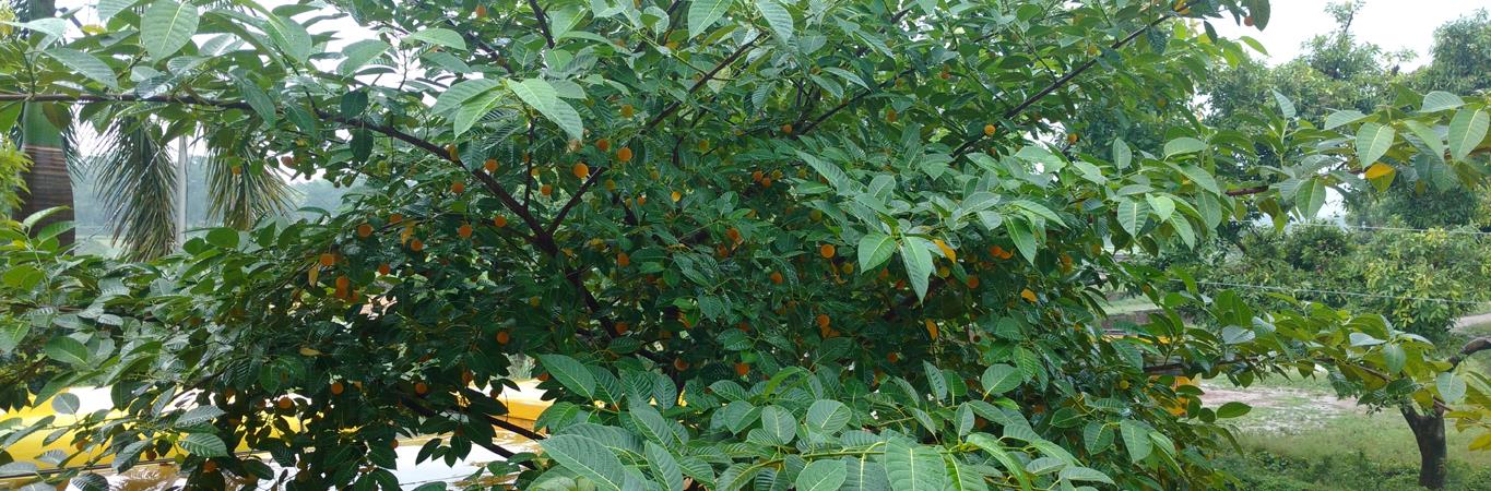 Slideshow Image 2